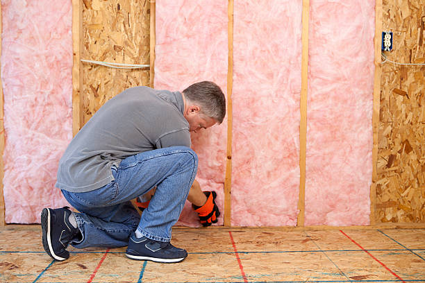 Best Insulation Maintenance and Repair in North Windham, ME